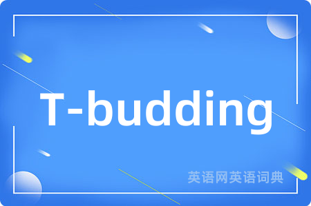 T-budding