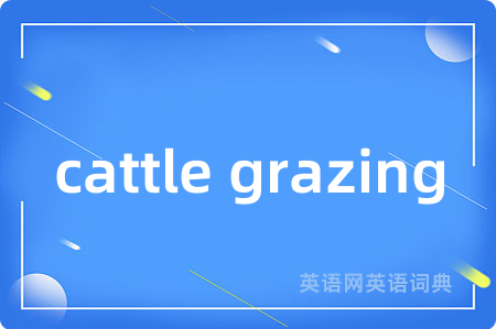 cattle grazing