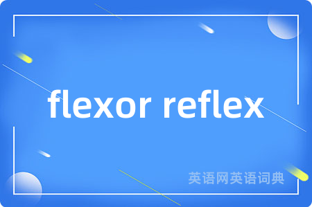 flexor reflex