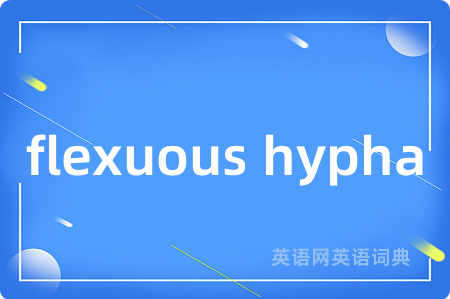 flexuous hypha