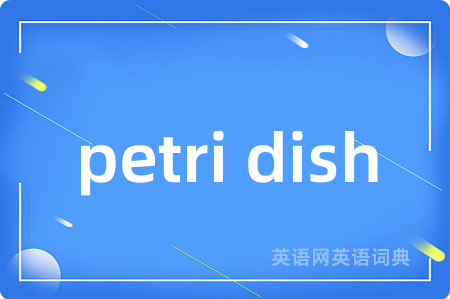 petri dish