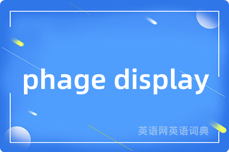 phage display
