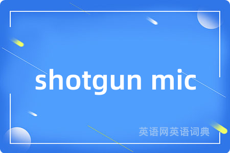 shotgun mic
